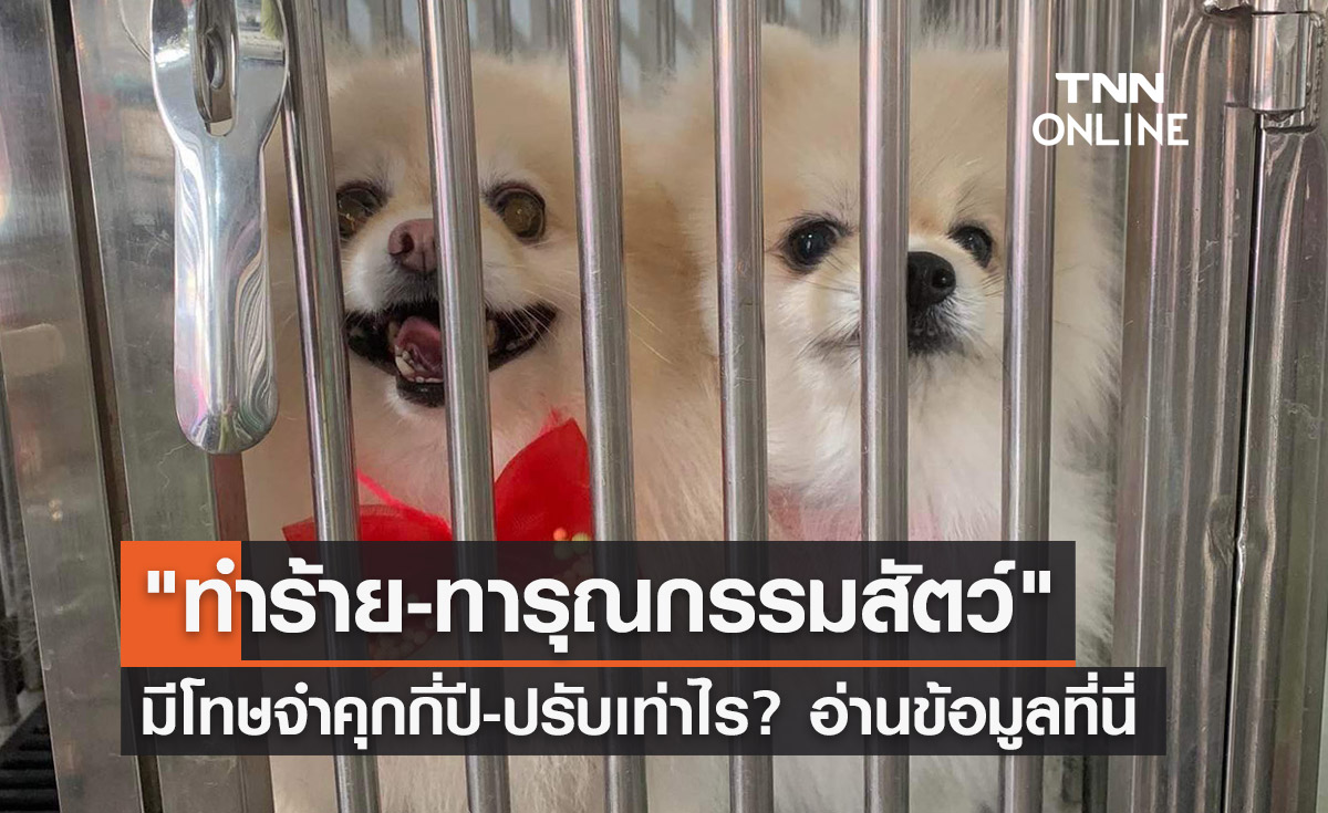 กฎหมายคุ้มครองสัตว์ "ทำร้าย-ทารุณกรรม" มีโทษจำคุกกี่ปี-ปรับเท่าไร?