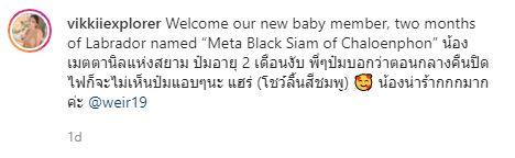 เวียร์-วิกกี้ เผยโฉมสมาชิกใหม่ ด้านแฟนๆ แห่ชมความน่ารัก