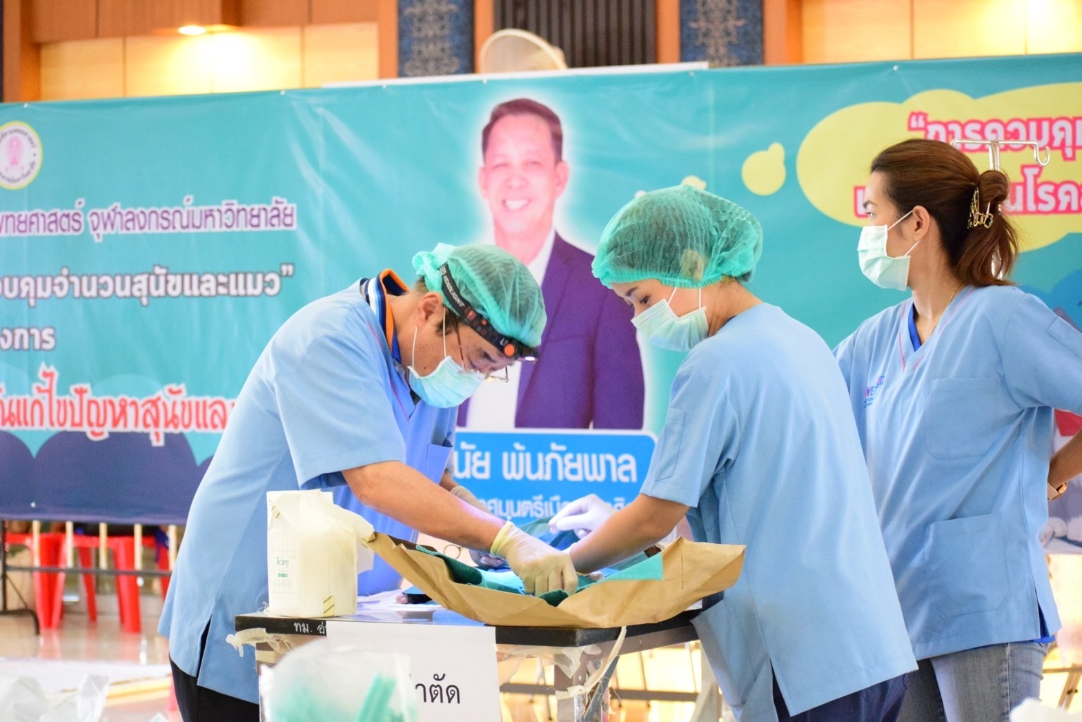 เทศบาลเมืองอ่างศิลา-คณะสัตวแพทย์จุฬาฯควบคุมประชากรสุนัขและแมวฟรี!