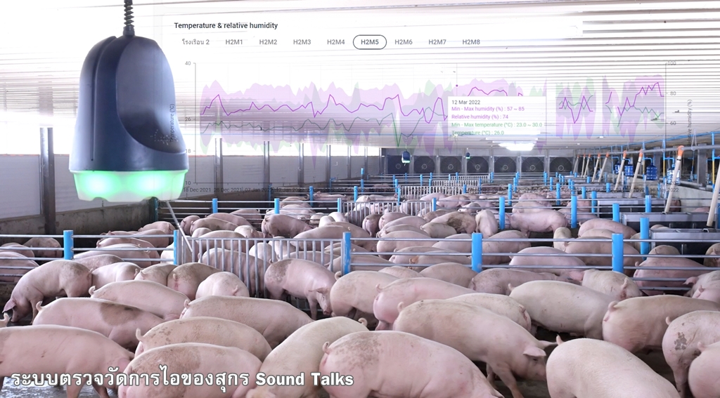 ซีพีเอฟ ถ่ายทอดระบบ “ฟาร์มอัจฉริยะ ดันเกษตรกรคอนแทรคฟาร์มมิ่ง ซีพีเอฟ ถ่ายทอดระบบ “ฟาร์มอัจฉริยะ ดันเกษตรกรคอนแทรคฟาร์มมิ่ง