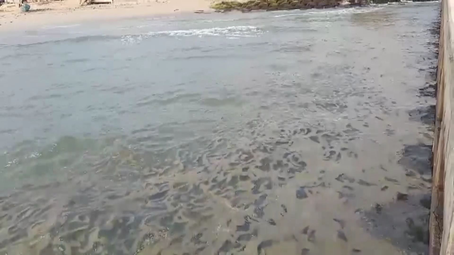 จิตอาสาพระราชทาน เร่งแก้ปัญหา ก้อนน้ำมันชายหาดหัวไทร จิตอาสาพระราชทาน เร่งแก้ปัญหา ก้อนน้ำมันชายหาดหัวไทร