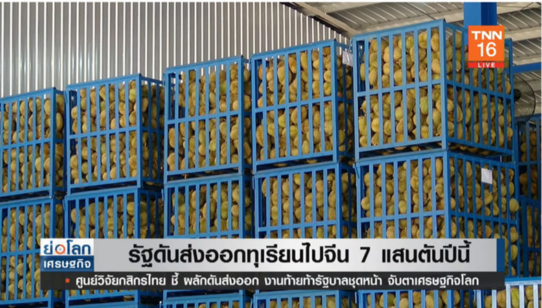 รัฐกางเป้าดันส่งออก ทุเรียน ไปจีน 7 แสนตันภายในปีนี้ 