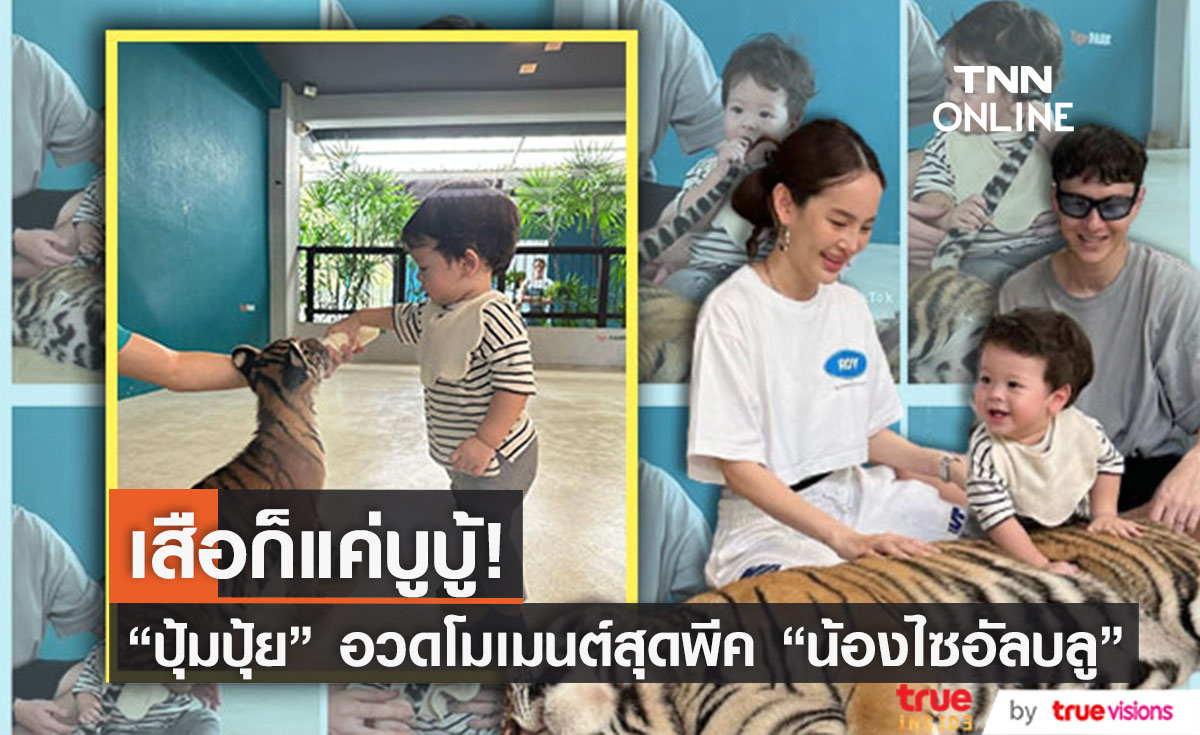  "ปุ้มปุ้ย" อวดโมเมนต์สุดน่ารัก "น้องไซอัลบลู" ทำพีคจัด เจอเสือครั้งแรก! 