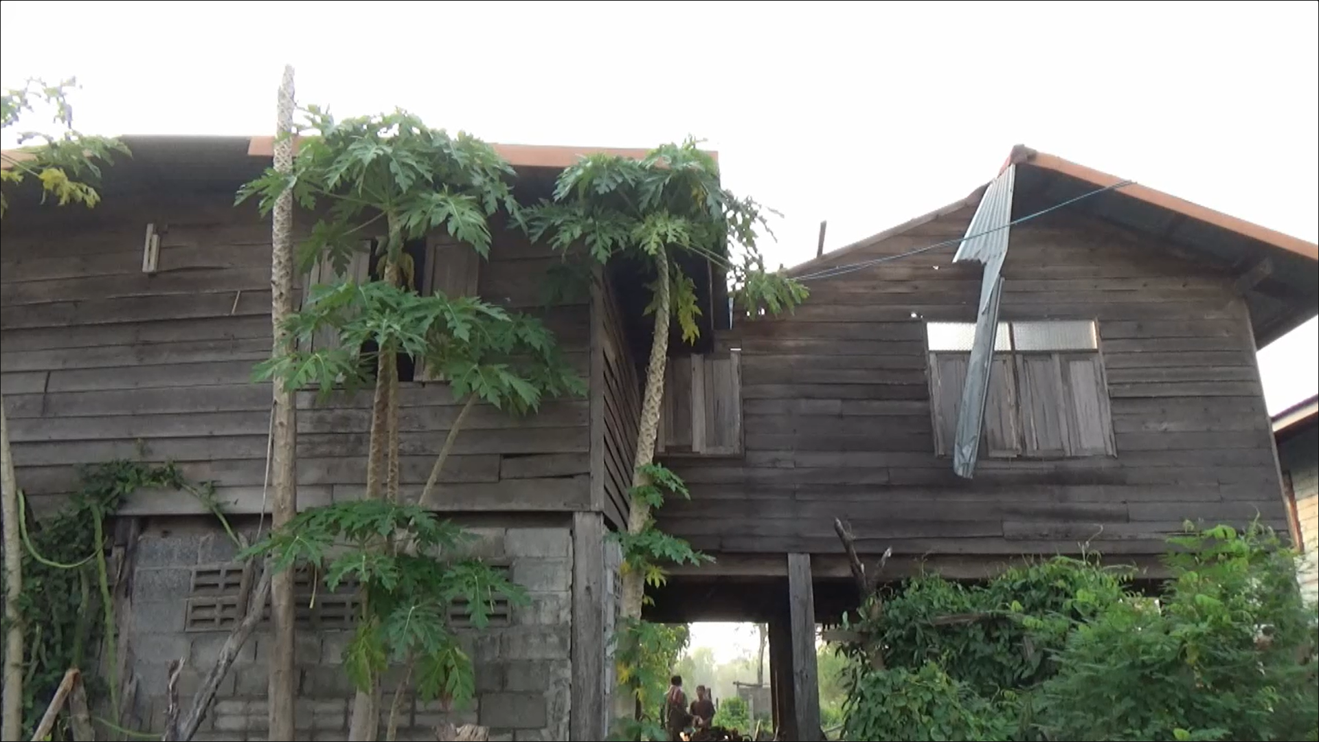 เปิดภาพ พายุถล่ม จ.ยโสธร บ้านเรือนเสียหาย 14 หลัง