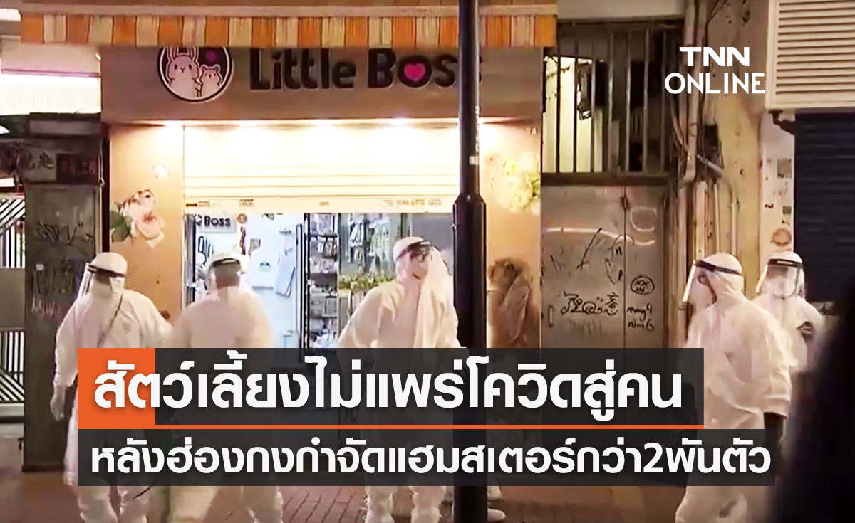 ผู้เชี่ยวชาญย้ำ "สัตว์เลี้ยง" ไม่แพร่เชื้อโควิด-19 สู่คน