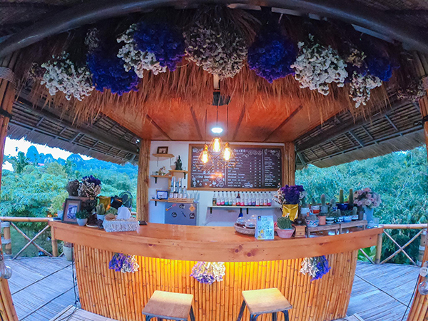 13 คาเฟ่ชุมพร กาแฟเด็ด วิวดีรับลมทะเล