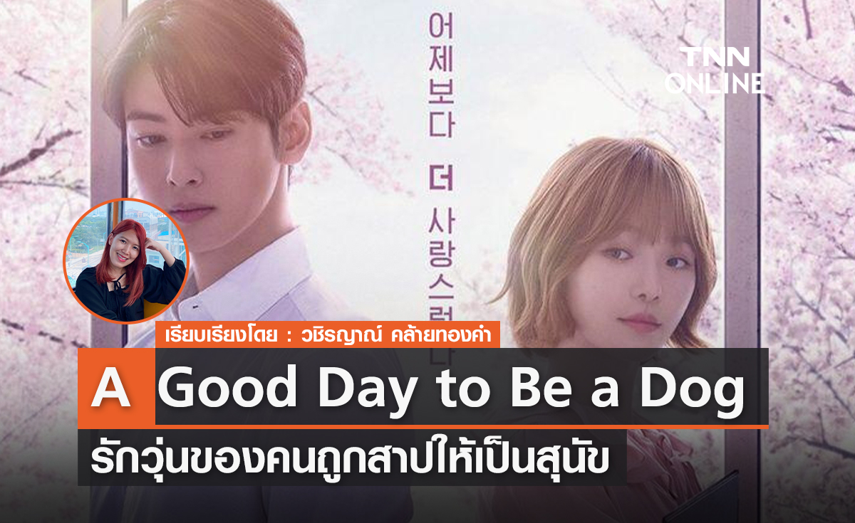 A Good Day to Be a Dog รักวุ่น ๆ ของคนถูกสาปให้เป็นสุนัข