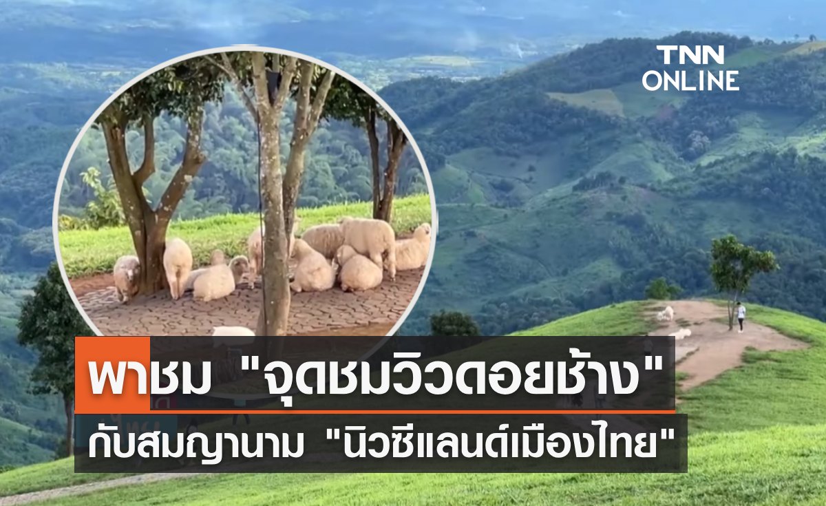 หนาวนี้ห้ามพลาด "จุดชมวิวดอยช้าง" นิวซีแลนด์เมืองไทย 
