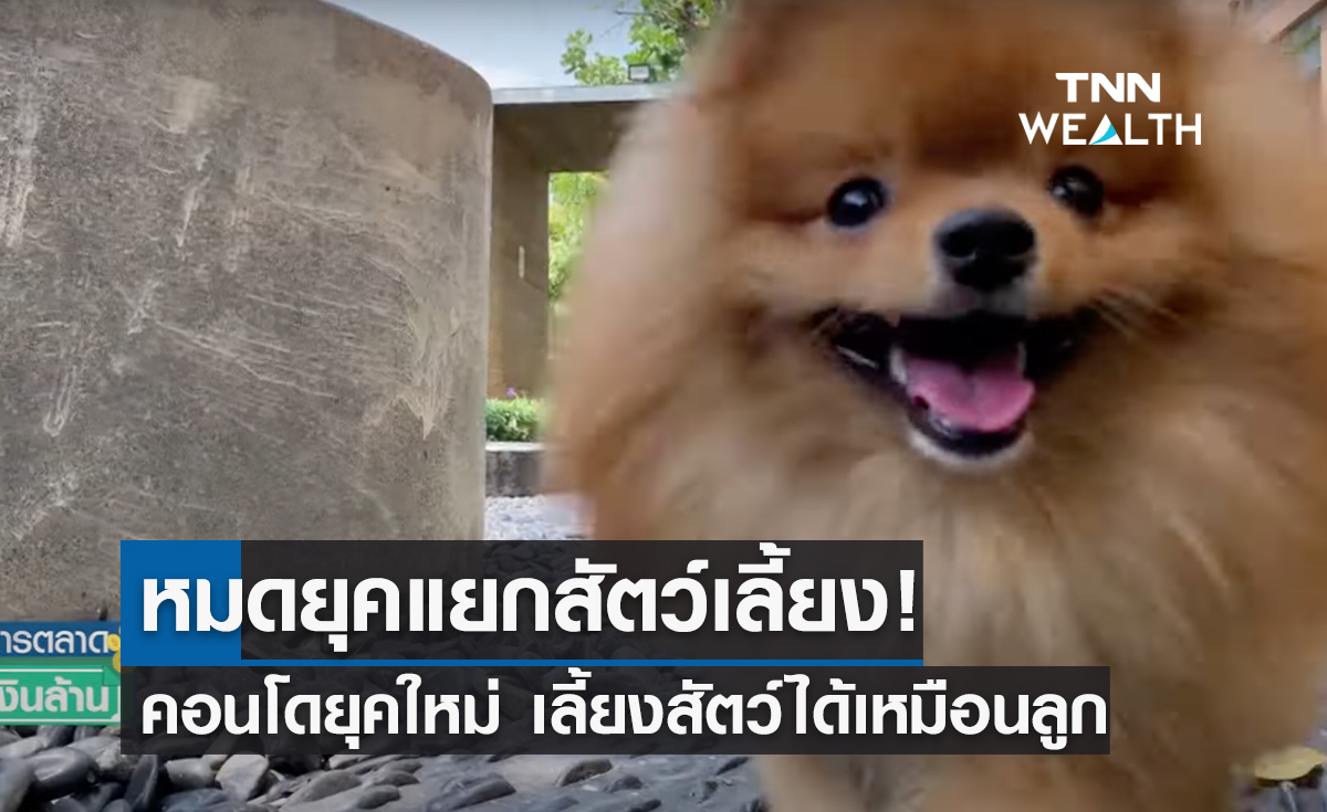 หมดยุคแยกสัตว์เลี้ยง! คอนโดยุคใหม่ เลี้ยงสัตว์ได้เหมือนลูก