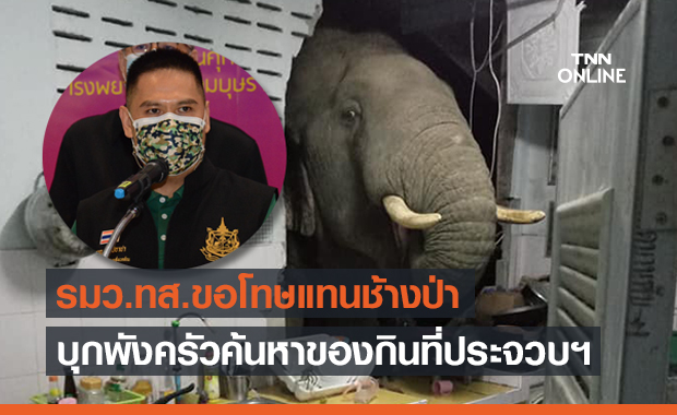 ร้อนถึง"วราวุธ" ขอโทษแทน “ช้างป่า” บุกรื้อครัวชาวบ้าน 