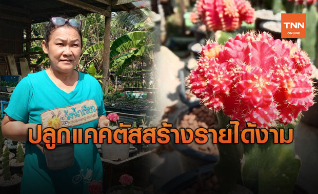 ปลูก "กระบองเพชร" สร้างรายได้งาม สาวโคราชเผยเคล็ดลับเลี้ยงแคคตัสให้สวย