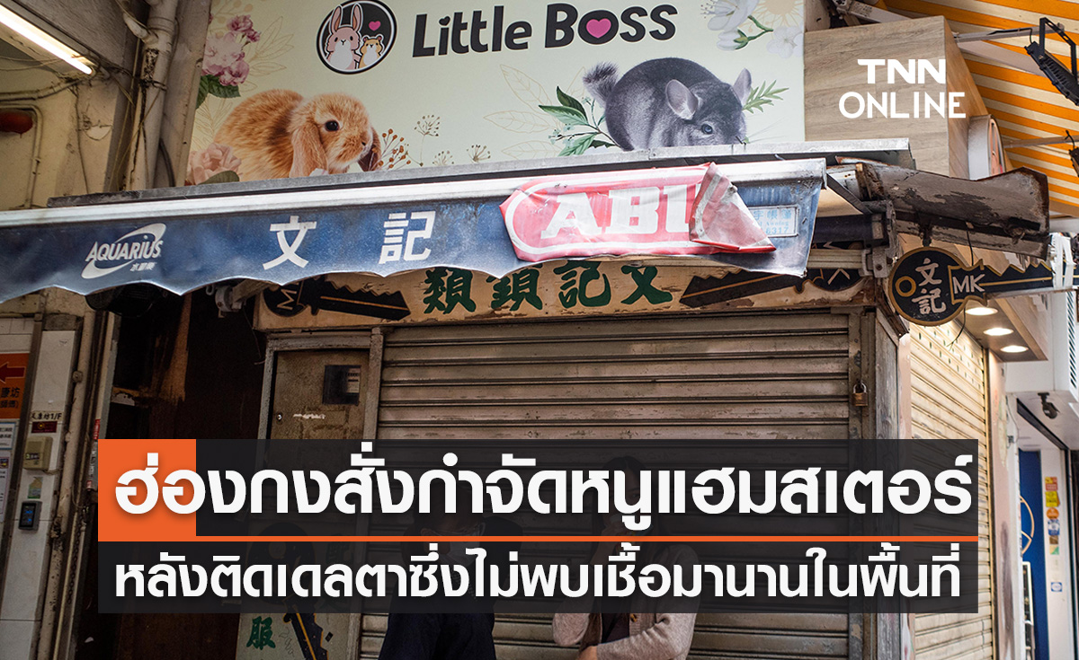 ฮ่องกงสั่งกำจัด ‘หนูแฮมสเตอร์’ หลังพบติดโควิดสายพันธุ์เดลตา 