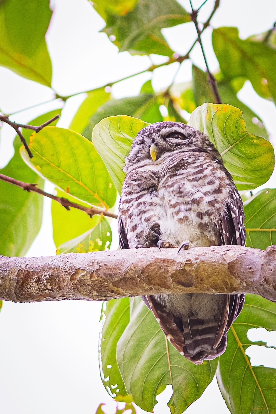 เครือซีพี เปิดประสบการณ์เรียนรู้ธรรมชาติ ผ่านกิจกรรมชวนชมนก ‘CP Bird Walk’ ครั้งที่ 1 ประจำปี 2566