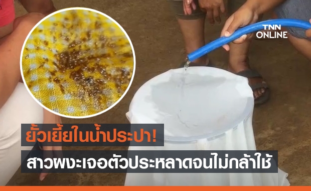 สาวสุดงง! เจอตัวประหลาดมากับน้ำประปา เดินยั้วเยี้ยจนไม่กล้าใช้