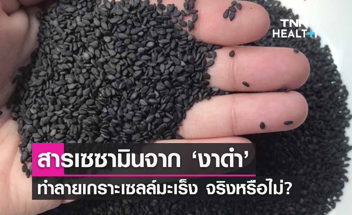 สารเซซามินจาก ‘งาดำ’ ทำลายเกราะเซลล์มะเร็ง สธ.ตอบชัดจริงหรือไม่? 