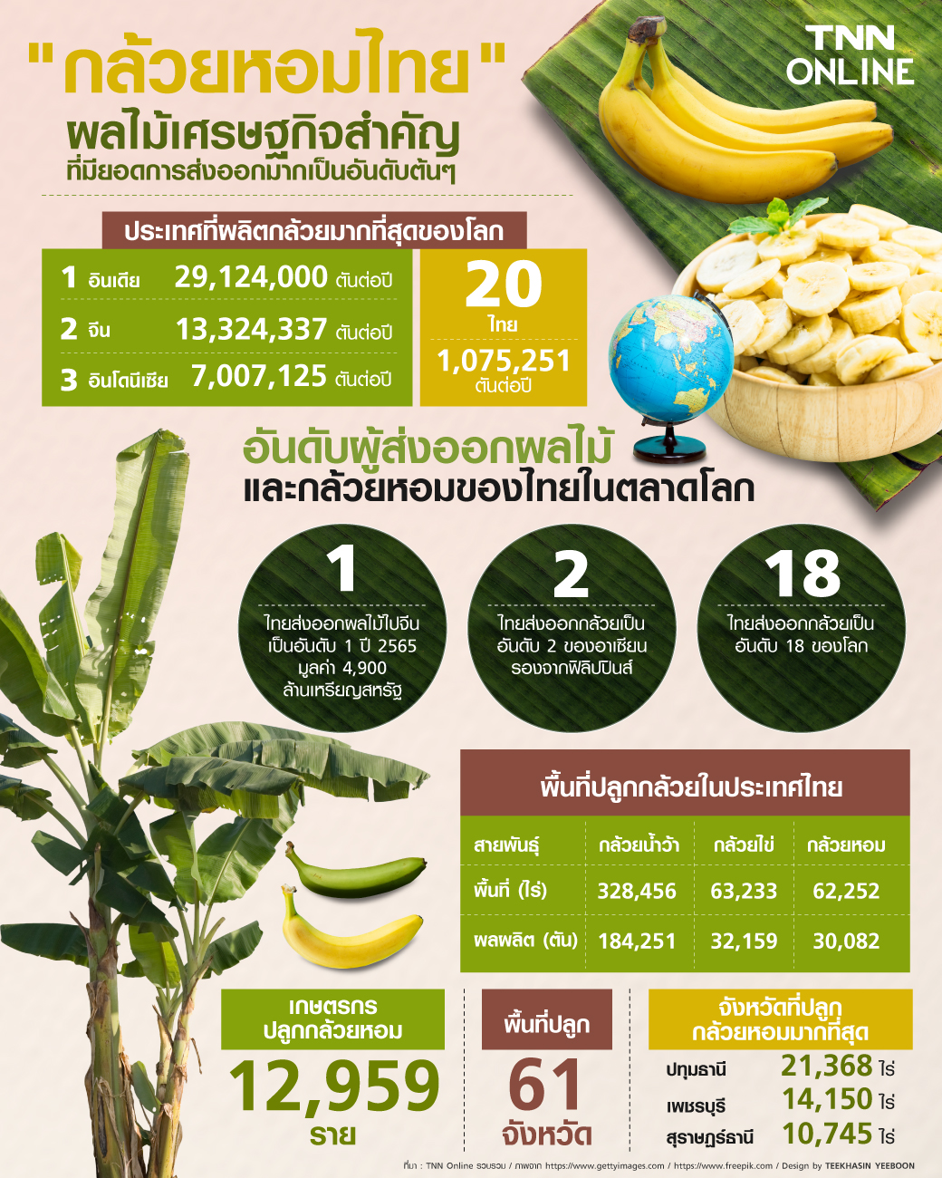 กล้วยหอมไทย ผลไม้ยืนหนึ่ง ราคาสูง ผลไม้เศรษฐกิจที่สำคัญที่มียอดการส่งออกมากเป็นอันดับต้นๆ