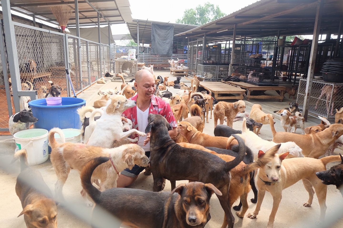 อุ๊บ วิริยะ ไม่อายทำกิน ขับแกร็บหารายได้เสริม ลั่น ไม่ได้ตกอับ อุ๊บ วิริยะ ไม่อายทำกิน ขับแกร็บหารายได้เสริม ลั่น ไม่ได้ตกอับ