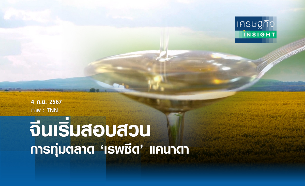 จีนเริ่มสอบสวนการทุ่มตลาดเรพซีดแคนาดา | เศรษฐกิจ insight 