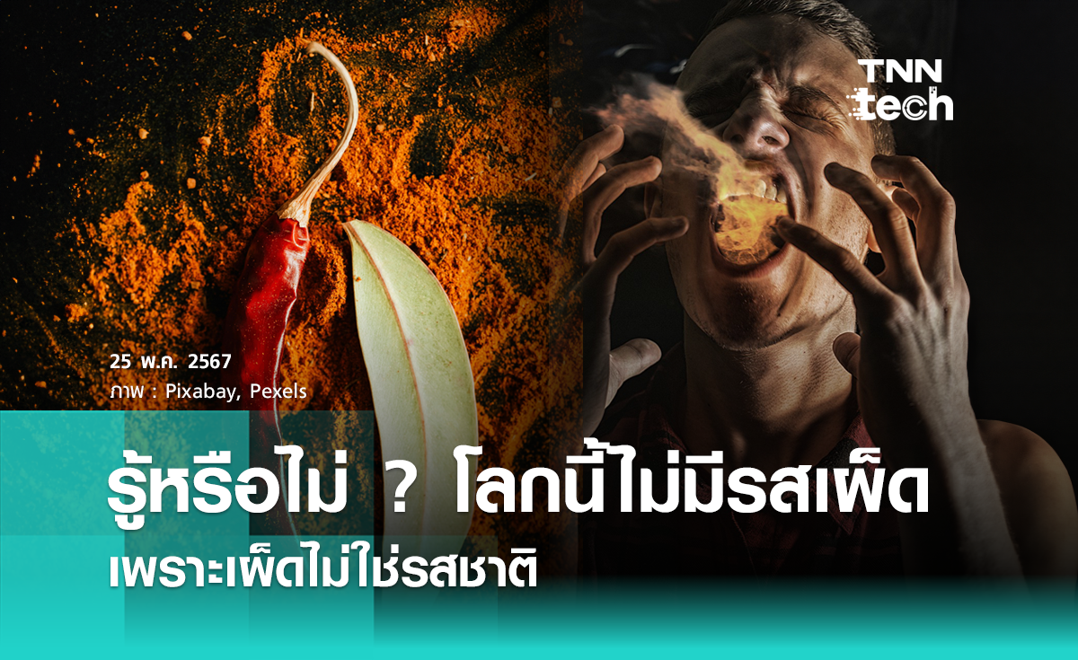รู้หรือไม่ ? โลกนี้ไม่มี “รสเผ็ด” เพราะเผ็ดไม่ใช่รสชาติ