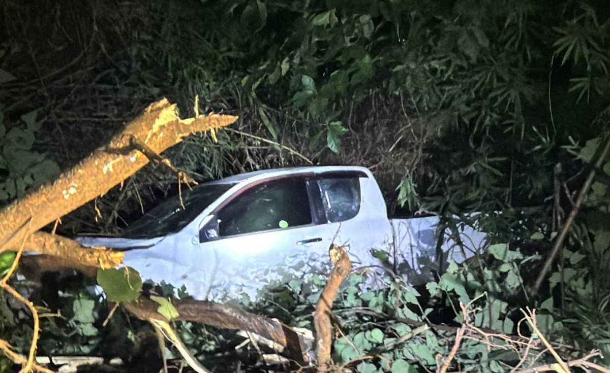 สกัดจับกระบะขนยาบ้า 10 ล้านเม็ด สกัดจับกระบะขนยาบ้า 10 ล้านเม็ด