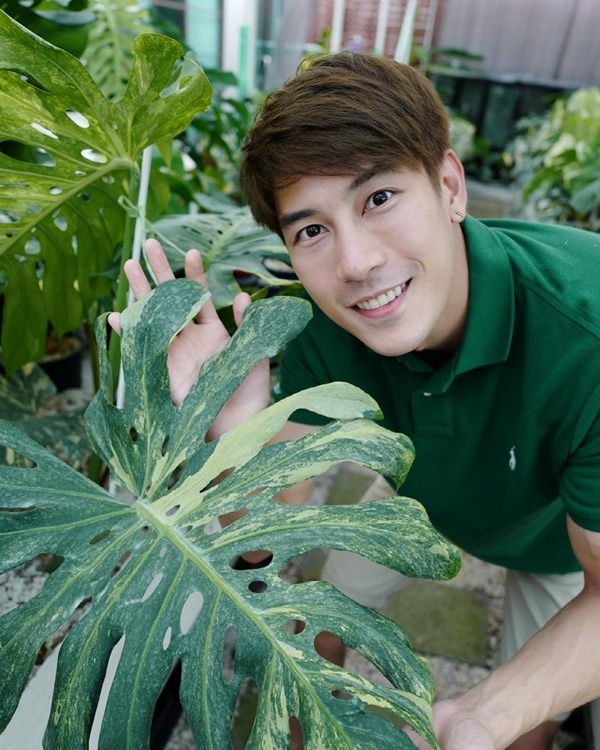 เคน ภูภูมิ ไลฟ์ประมูลต้นไม้ ได้ 8 แสนกว่า สมบททุนให้ครบ 1 ล้าน มอบให้โรงพยาบาล