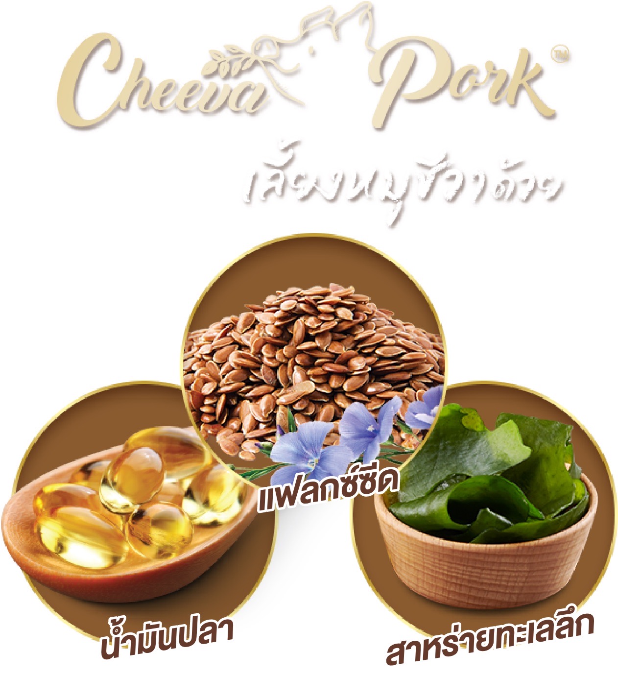 “หมูชีวา” นวัตกรรมเนื้อหมูมีโอเมก้า-3 ดีต่อสุขภาพ