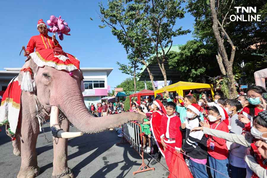 ช้างแปลงโฉมซานตาคลอส มอบความสุขในเทศกาลคริสต์มาส