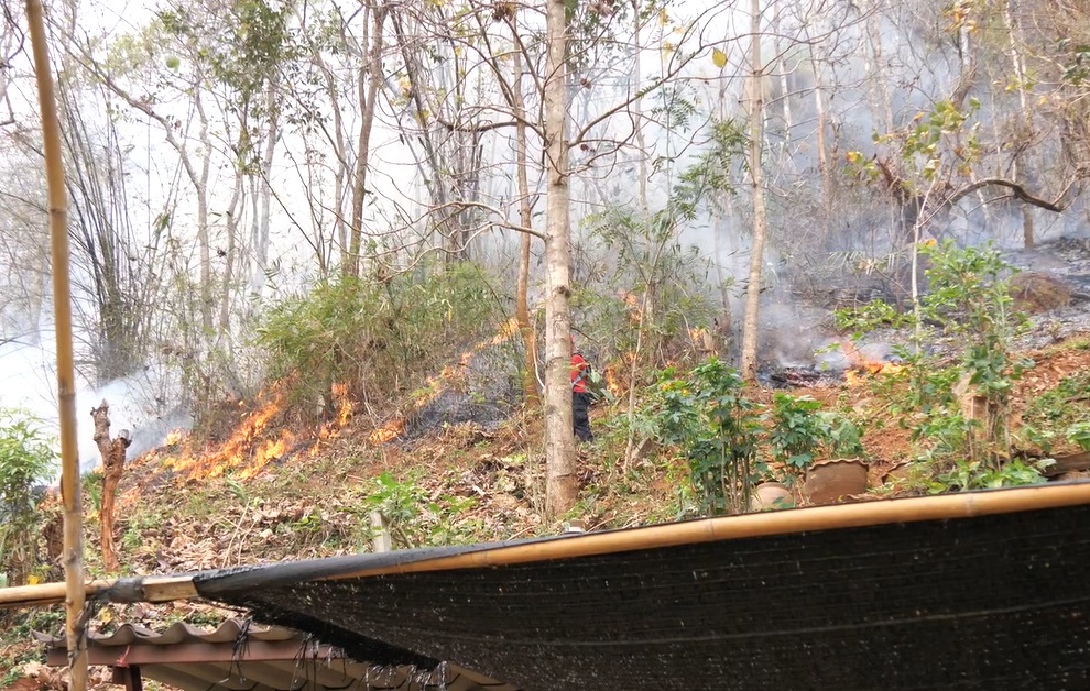 เจ้าหน้าที่ระดมกำลังนับร้อย เร่งคุม ไฟป่าสะเมิง เจ้าหน้าที่ระดมกำลังนับร้อย เร่งคุม ไฟป่าสะเมิง