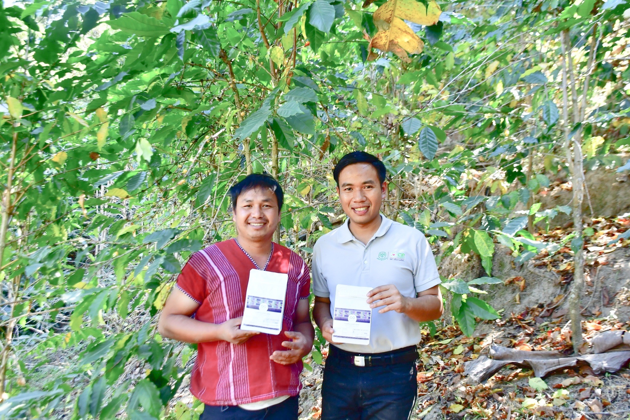 เครือซีพี หนุน “วิสาหกิจชุมชนผู้ปลูกกาแฟบ้านกองกาย” ต้นแบบกาแฟสร้างป่าในพื้นที่ อ.แม่แจ่ม จ.เชียงใหม่