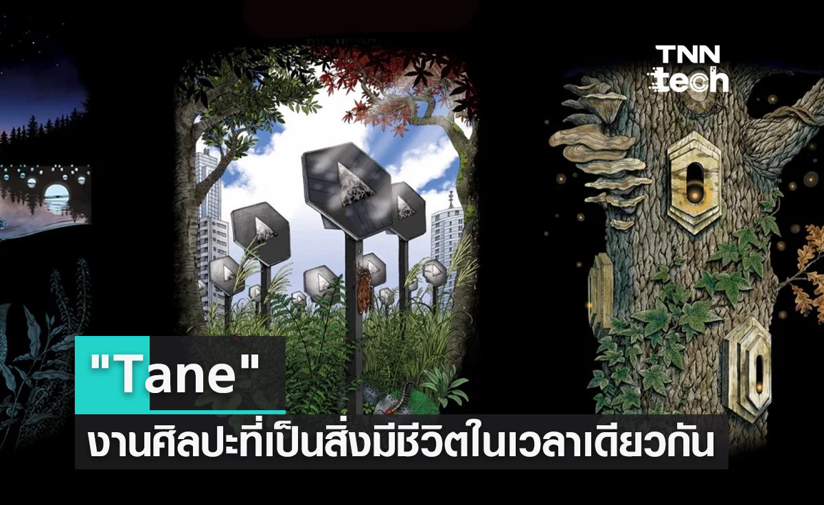 "Tane" งานศิลปะที่พึ่งพาตนเองได้ แถมเป็นสิ่งมีชีวิตในเวลาเดียวกัน !?