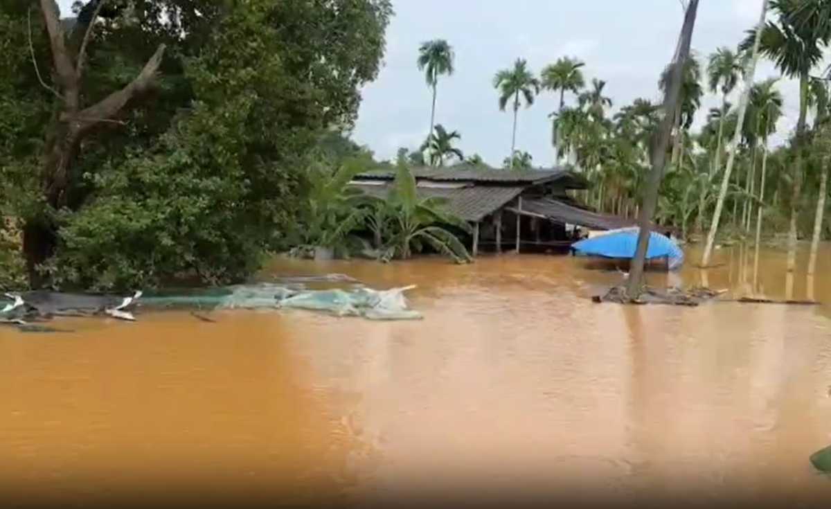 มวลน้ำจากต.สะตอ ไหลท่วมเขาสมิงแล้ว มวลน้ำจากต.สะตอ ไหลท่วมเขาสมิงแล้ว