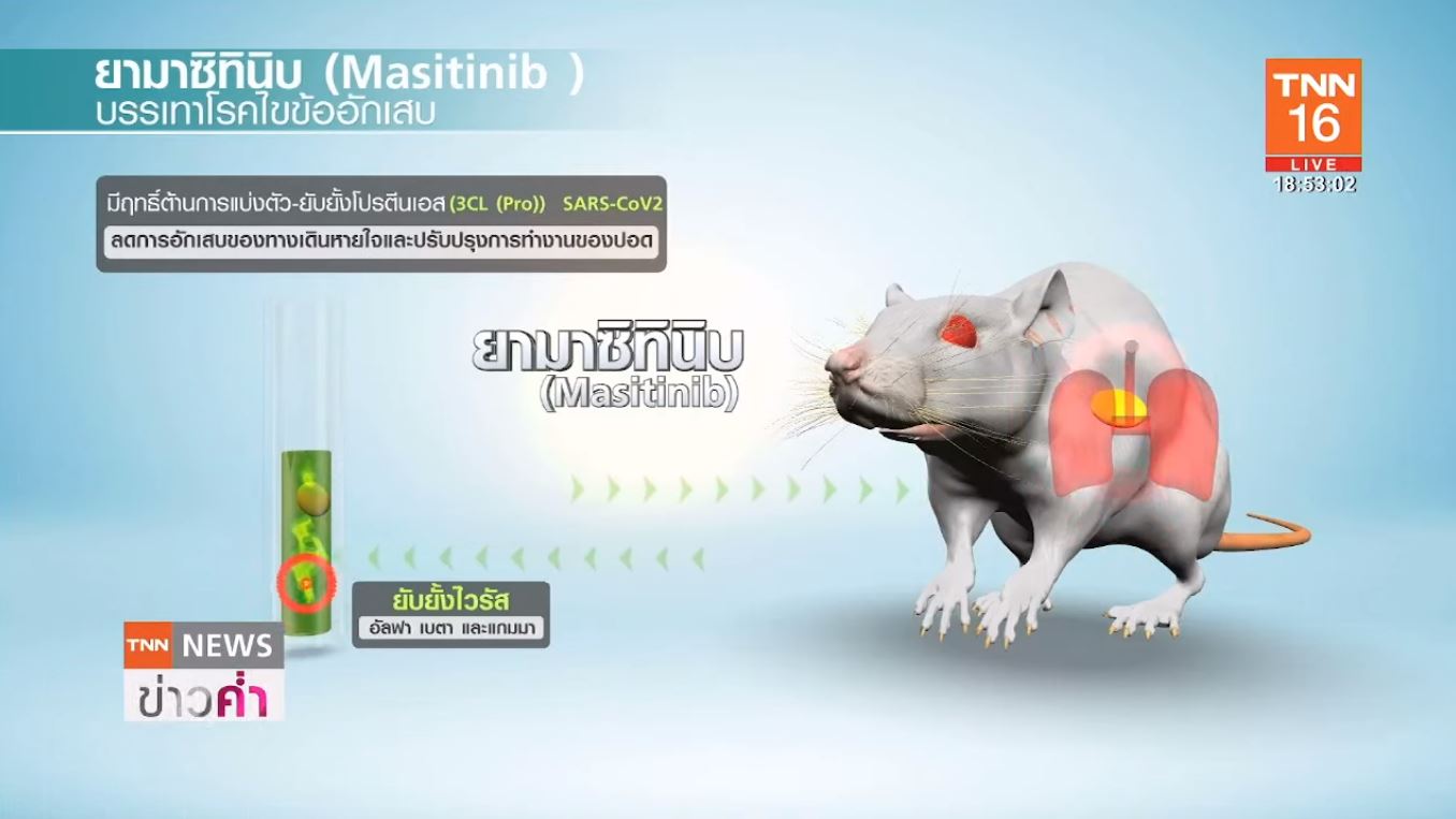 วิจัยพบ ยามาซิทินิบ รักษาโควิด19ได้ 