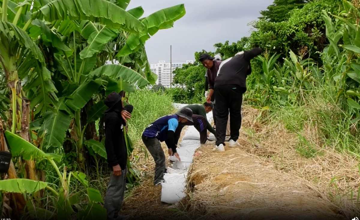 น้ำเจ้าพระยาทะลักท่วมชุมชนท่าอิฐ-ชุมชนวัดตะกู น้ำเจ้าพระยาทะลักท่วมชุมชนท่าอิฐ-ชุมชนวัดตะกู
