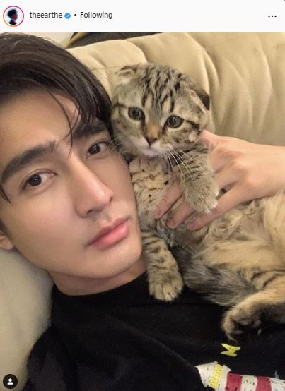 เอิร์ท พิรพัฒน์ รับเสียหายหลายแสน หลังเลี้ยงแมว เผย ตอนนี้ 3 ตัวพอแล้ว 