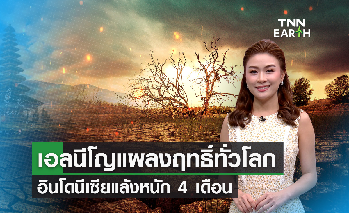 เอลนีโญแผลงฤทธิ์ทั่วโลก อินโดนีเซียแล้งหนัก 4 เดือน