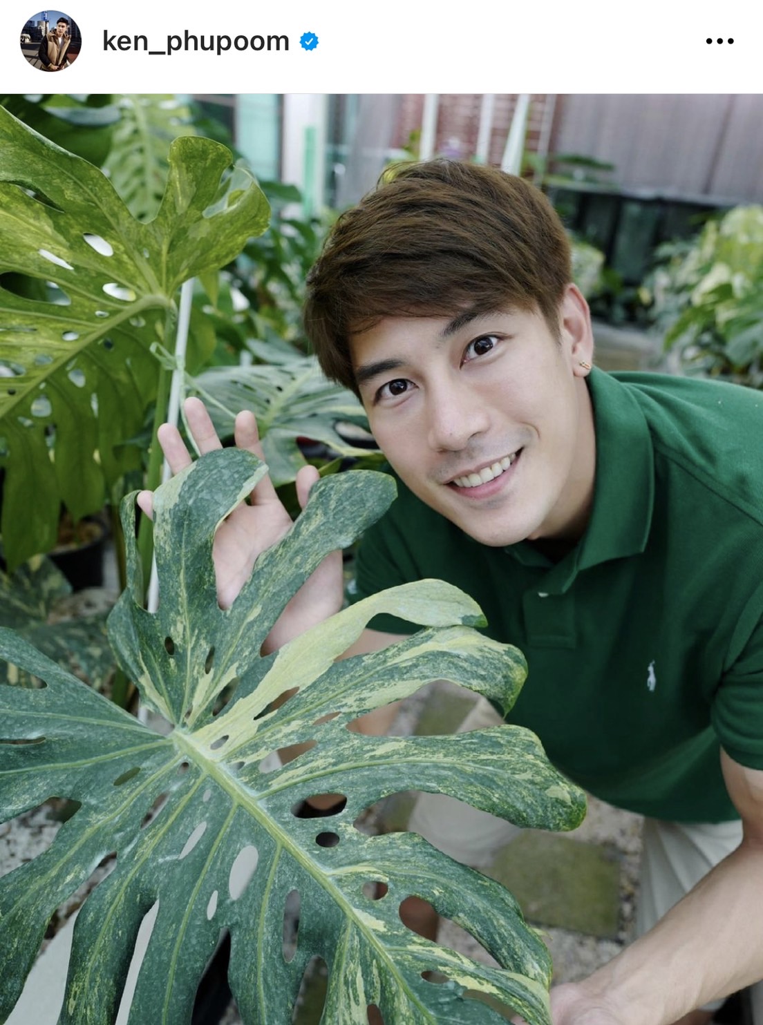 จากหลักร้อยสู่หลักล้าน เคน ภูภูมิ เผยรายได้สุดปังจากการขายต้นไม้ 