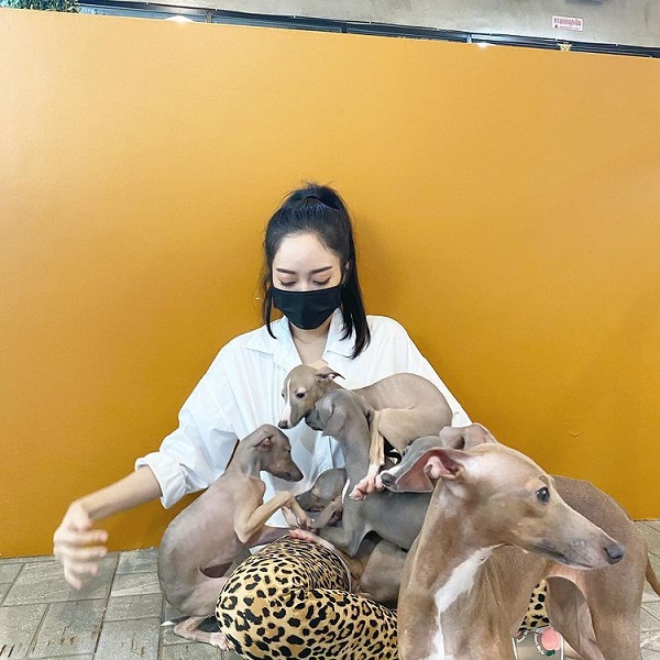 “แก้มบุ๋ม” เผยเปิดคาเฟ่สัตว์ เพราะความรักหมาแมว  (มีคลิป)