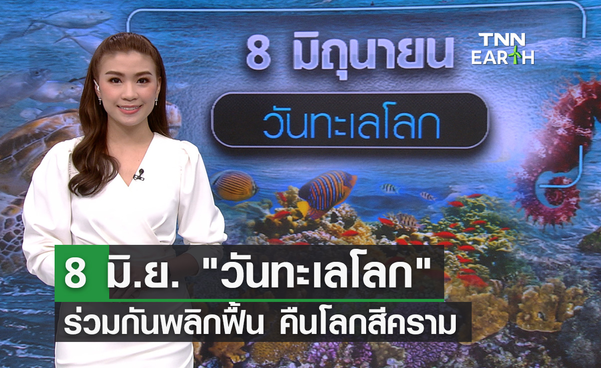 8 มิ.ย. วันทะเลโลก ร่วมกัน“เปลี่ยน พลิกฟื้น คืนโลกสีคราม”