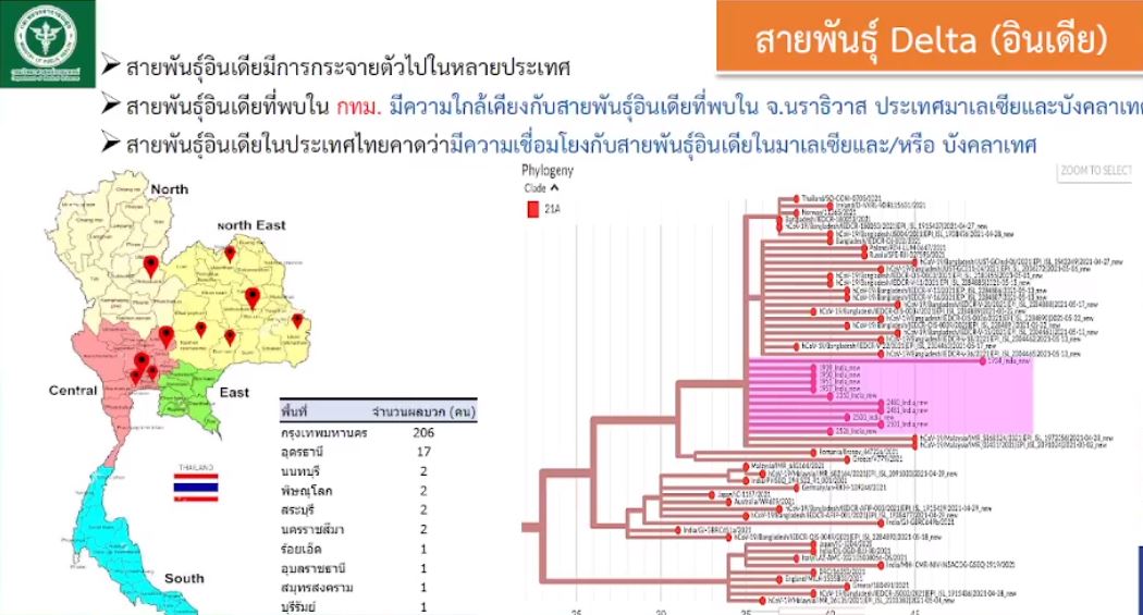 ไทยเฝ้าระวัง สายพันธุ์อินเดีย 2 หลังพบการแพร่ระบาดเร็วกว่าสายพันธุ์อังกฤษถึง 40%
