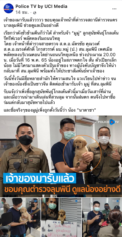 น้องโกลเด้นพลัดหลงเจอเจ้าของแล้ว เป็นหนุ่มจีนตั้งชื่อใหม่ “นาตาชา โรมานอฟ” น้องโกลเด้นพลัดหลงเจอเจ้าของแล้ว เป็นหนุ่มจีนตั้งชื่อใหม่ “นาตาชา โรมานอฟ”