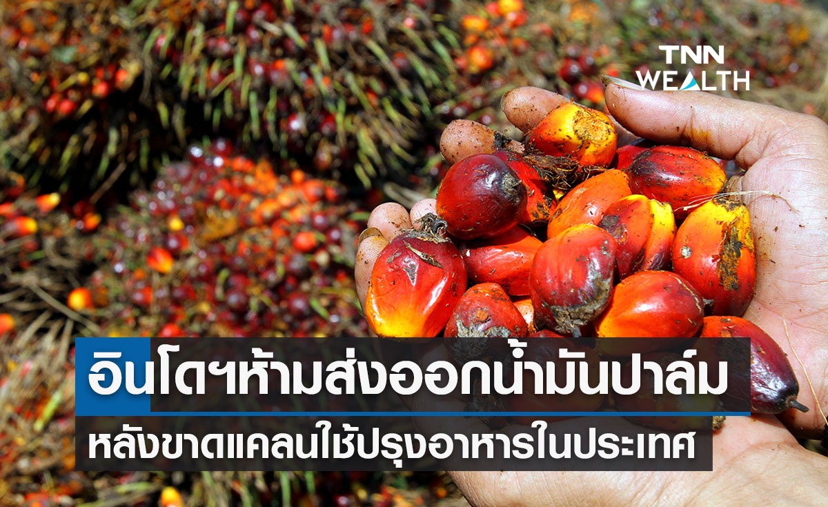 อินโดฯประกาศห้ามส่งออกน้ำมันปาล์ม หลังขาดแคลนในประเทศ