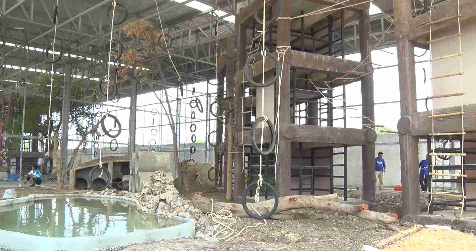 ลิงลพบุรี! ล่าสุด สถานอนุบาลฯพร้อมรับเจ้าจ๋อ เข้าควบคุมประชากร