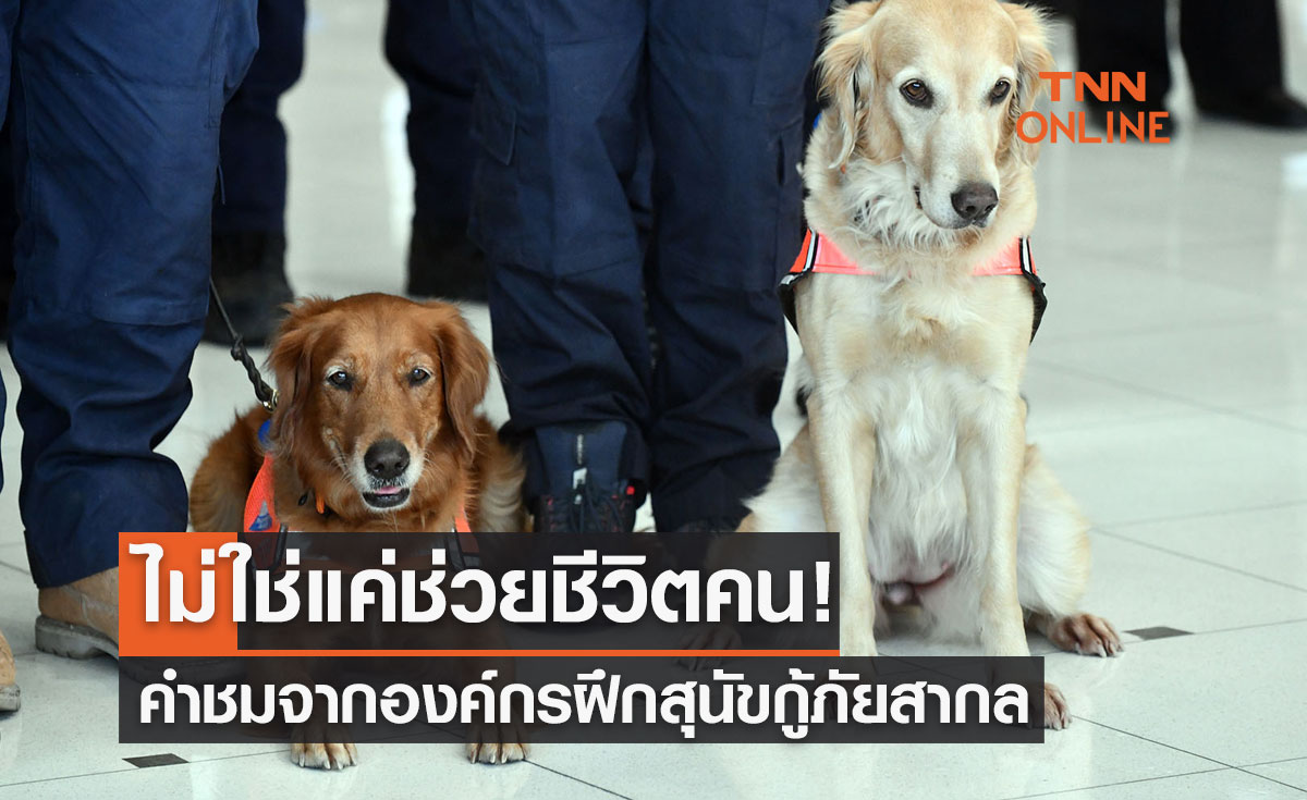 ไม่ใช่แค่ช่วยชีวิตคน! "เซียร่า-ซาฮาร่า" ได้รับคำชมจากองค์กรฝึกสุนัขกู้ภัยสากล 