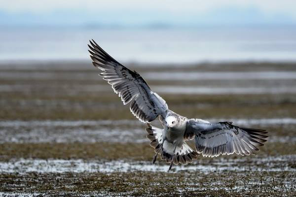 10 ที่เที่ยวนครสวรรค์ เช็กอินฟินเพลิน เมืองสวรรค์ปากน้ำโพ