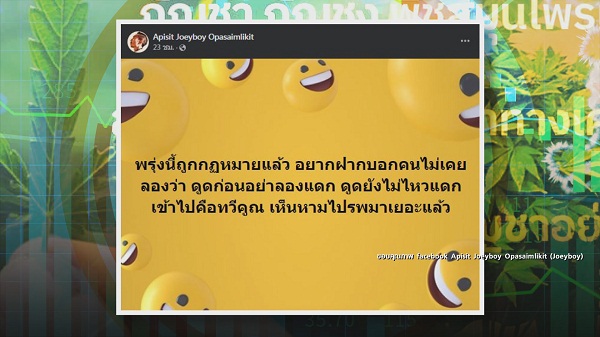 9 มิ.ย. ปลดล็อกกัญชาวันแรก “สรยุทธ-ไบรท์-แทค-โจอี้บอย-มาลีฮวนน่า” ตื่นตัว   (มีคลิป)