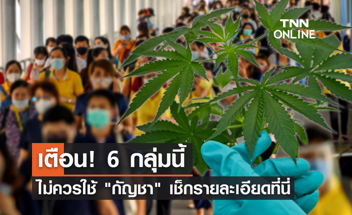 เช็กที่นี่! คนกลุ่มไหนไม่ควรใช้ "กัญชา" รพ.ศิริราช มีคำตอบ