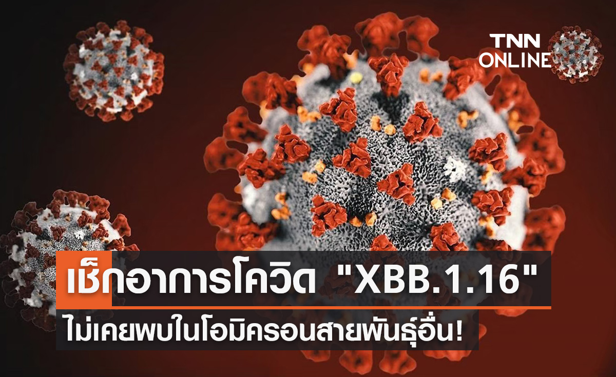 จับตา! โควิด "XBB.1.16" มาพร้อมอาการใหม่ ไม่เคยพบในโอมิครอนสายพันธุ์อื่น