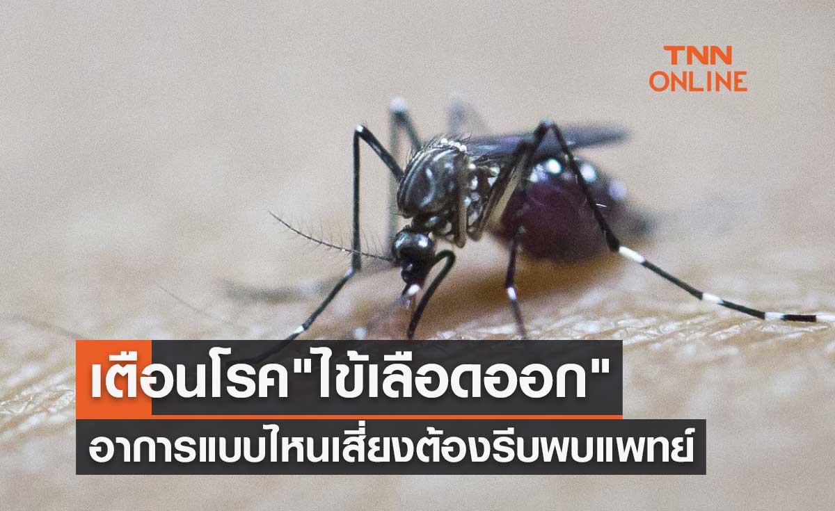 เตือนโรค "ไข้เลือดออก" อาการแบบไหนมีความเสี่ยงต้องรีบไปพบแพทย์