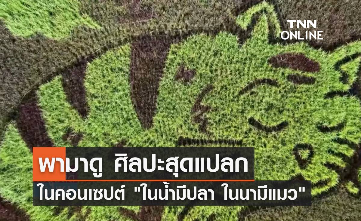 พามาดู ศิลปะสุดแปลก ในคอนเซปต์ "ในน้ำมีปลา ในนามีแมว"