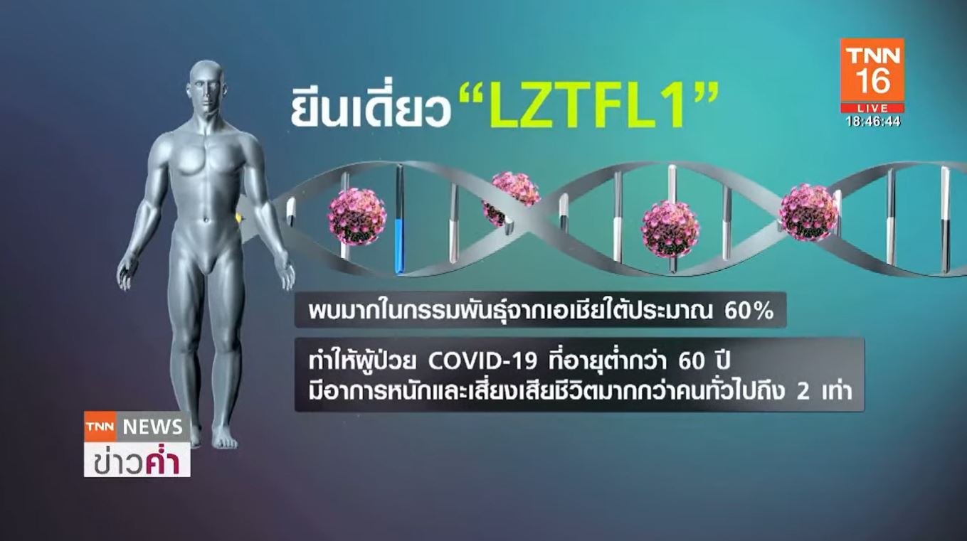 นักวิทย์โปแลนด์ พบยีนเสี่ยงติดโควิด-19 ทำป่วยหนักกว่า 2 เท่า